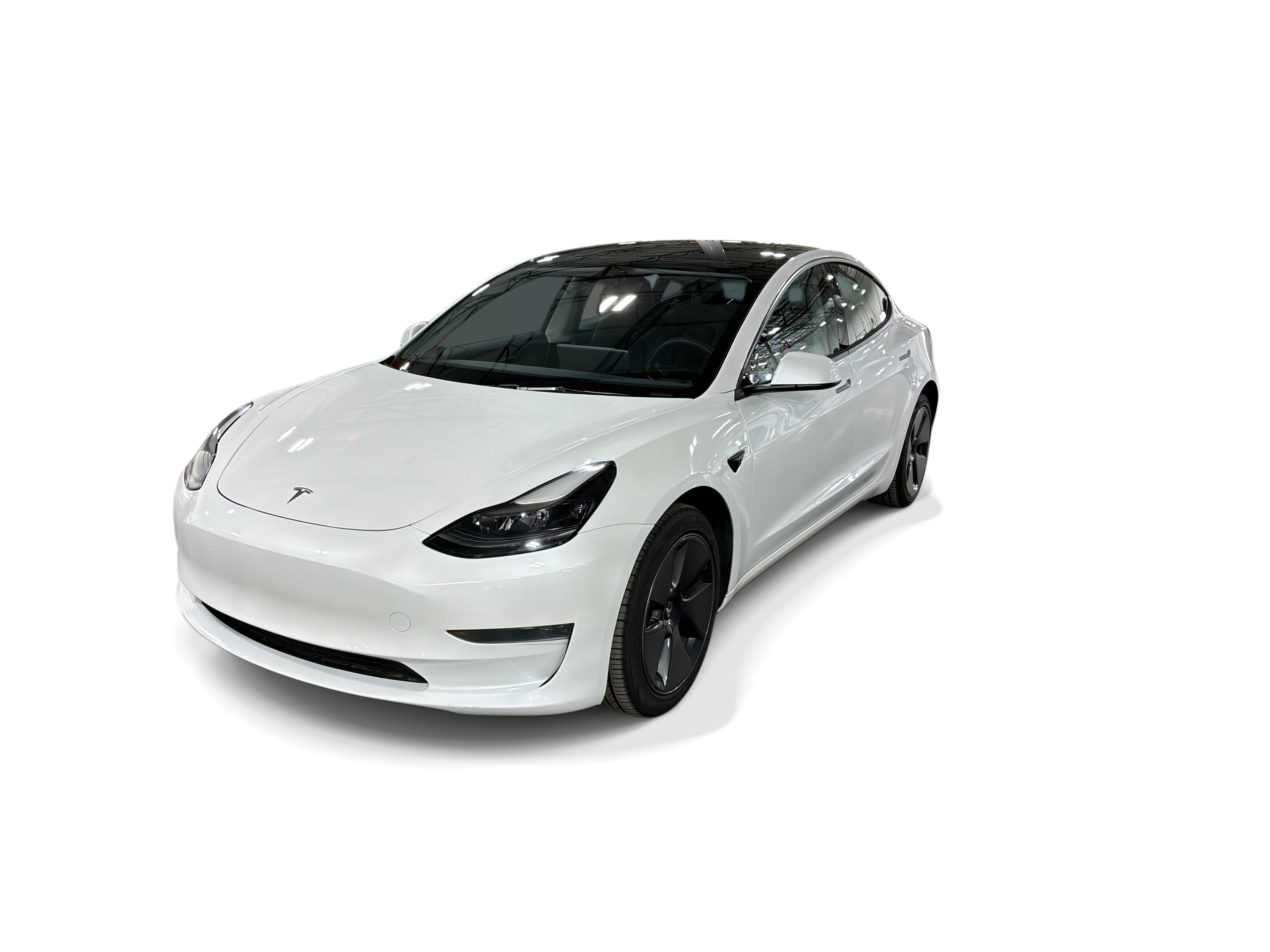 tesla model 3 2023 5YJ3E1EA1PF590713 image tesla model 3 2023 5YJ3E1EA1PF590713 image